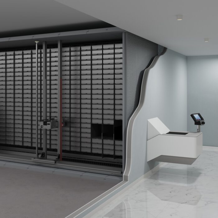 SafeStore Auto Maxi